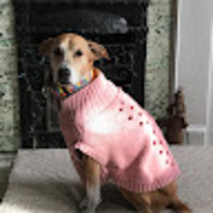 Meet your Posher, Jodi